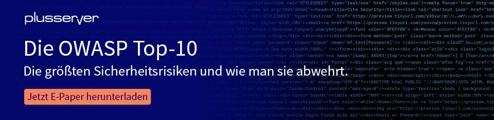 OWASP Top 10: diese Security-Risiken sollten Sie kennen
