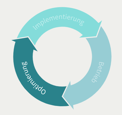 ERP Cloud: Lifecycle