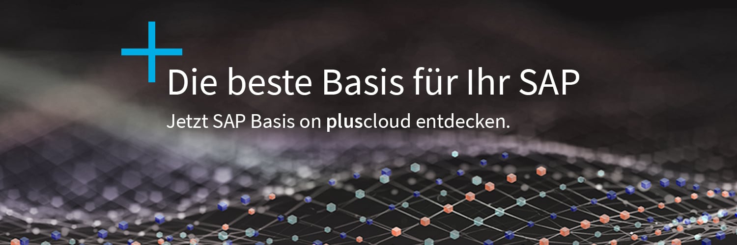 SAP Basis on pluscloud
