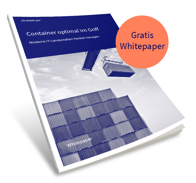 Mock-up_WP_Container optimal im Griff_weißer Hintergrund_800x745px